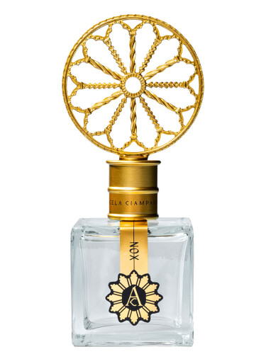 عطر ادکلن ناکس آنجلا چیامپانیا - Nox Angela Ciampagna - بررسی، قیمت و خرید