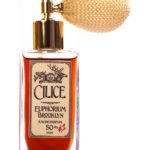 عطر ادکلن سیلیس یوفوریوم بروکلین - Cilice Euphorium Brooklyn - بررسی، قیمت و خرید