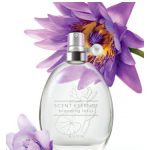 عطر ادکلن اسنت اسنس - بلومینگ لوتوس اِیوِن - Scent Essence - Blooming Lotus Avon - بررسی، قیمت و خرید