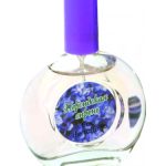 عطر ادکلن پرشین لیلاک پاکروکا تریدینگ هاوس - Persian Lilac Pokrovka Trading House - بررسی، قیمت و خرید