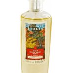 عطر ادکلن آکوا دله تره روسه بورساری - Acqua Delle Terre Rosse Borsari - بررسی، قیمت و خرید