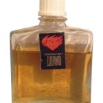 عطر ادکلن دانکو سیورنو سییانیه - Данко (Danko) Северное сияние - بررسی، قیمت و خرید