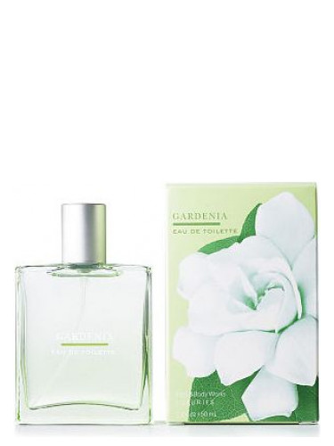 عطر ادکلن گاردنیا بث اند بادی ورکز - Gardenia Bath & Body Works - بررسی، قیمت و خرید