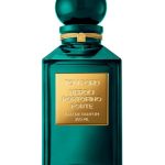 عطر ادکلن نرولی پورتوفینو فورت تام فورد - Neroli Portofino Forte Tom Ford - بررسی، قیمت و خرید