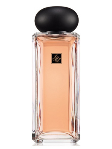 عطر ادکلن گولدن نیدل تی جو مالون لاندن - Golden Needle Tea Jo Malone London - بررسی، قیمت و خرید