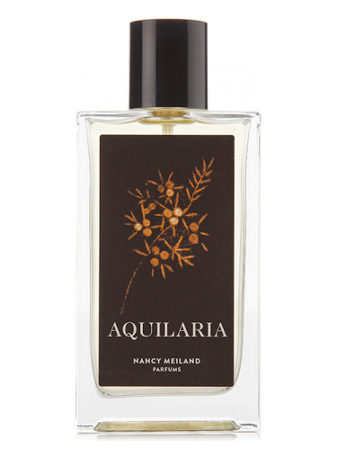 عطر ادکلن آکیلاریا نانسی میلند پرفیومز - Aquilaria Nancy Meiland Parfums - بررسی، قیمت و خرید