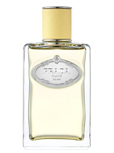 عطر ادکلن اینفیوژن د میموسا پرادا - Infusion de Mimosa Prada - بررسی، قیمت و خرید