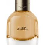 عطر ادکلن اَمبِر رگ اند بون - Amber Rag & Bone - بررسی، قیمت و خرید