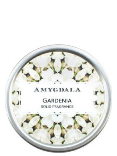 عطر ادکلن گاردنیا آمیگدال - Gardenia Amygdala - بررسی، قیمت و خرید