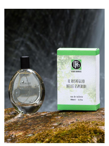 عطر ادکلن ایلا ریسوگلیو دله اسپریدی دی‌اف‌جی هزار و نهصد و بیست و چهار - Il Risveglio delle Esperidi DFG1924 - بررسی، قیمت و خرید