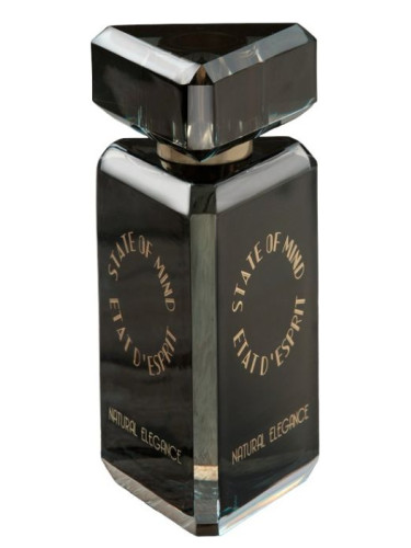 عطر ادکلن نچرال الگانس استیت آو مایند - Natural Elegance State of Mind - بررسی، قیمت و خرید