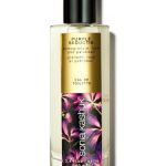 عطر ادکلن پرپل سدکتیا سونیا کاشوک - Purple Seductia Sonia Kashuk - بررسی، قیمت و خرید