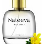 عطر ادکلن باهاماس ناتیوا - Bahamas Nateeva - بررسی، قیمت و خرید