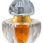 عطر ادکلن کایانی اجمل - Kayaani Ajmal - بررسی، قیمت و خرید