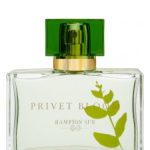عطر ادکلن پریوت بلوم هامپتون سان - Privet Bloom Hampton Sun - بررسی، قیمت و خرید