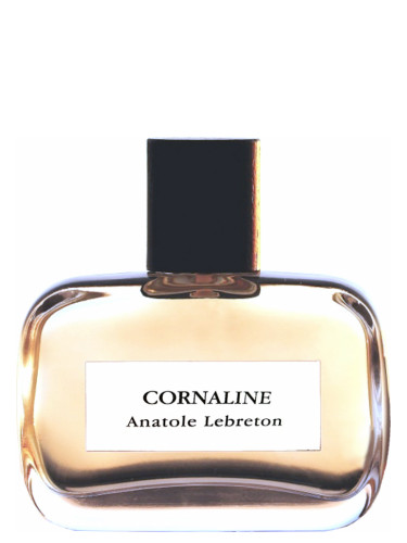 عطر ادکلن کرنالین آنتول لبرتون - Cornaline Anatole Lebreton - بررسی، قیمت و خرید