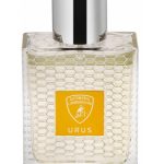 عطر ادکلن اوروس لامبورگینی - Urus Automobili Lamborghini - بررسی، قیمت و خرید