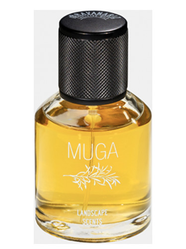 عطر ادکلن موگا بروانوناریز - Muga Bravanariz - بررسی، قیمت و خرید