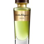 عطر ادکلن کانویویو سالواتوره فراگامو - Convivio Salvatore Ferragamo - بررسی، قیمت و خرید