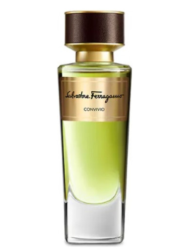 عطر ادکلن کانویویو سالواتوره فراگامو - Convivio Salvatore Ferragamo - بررسی، قیمت و خرید