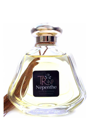 عطر ادکلن نیپنتی ترانپ - Nepenthe TRNP - بررسی، قیمت و خرید