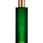 عطر ادکلن سیداریز هرمتیکا - Cedarise Hermetica - بررسی، قیمت و خرید