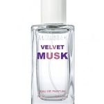 عطر ادکلن ولوت ماسک المصباه - Velvet Musk Al Musbah - بررسی، قیمت و خرید