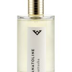 عطر ادکلن هاتوشا آناتولین - Hattusha Anatoline - بررسی، قیمت و خرید
