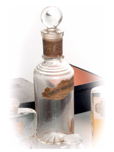 عطر ادکلن وایت رز اَتکینسونز - White Rose Atkinsons - بررسی، قیمت و خرید