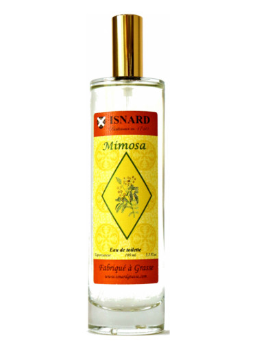 عطر ادکلن میموسا ایزنارد - Mimosa Isnard - بررسی، قیمت و خرید