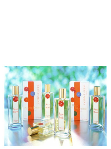 عطر ادکلن نویی او دزرت گوبین داوده - Nuit Au Désert Gobin Daudé - بررسی، قیمت و خرید
