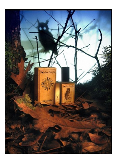عطر ادکلن نایت واچر سولستیس سنتس - Night Watcher Solstice Scents - بررسی، قیمت و خرید