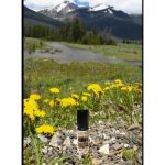 عطر ادکلن هیدن لاج سولستیس سنتس - Hidden Lodge Solstice Scents - بررسی، قیمت و خرید