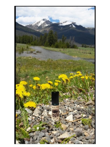 عطر ادکلن هیدن لاج سولستیس سنتس - Hidden Lodge Solstice Scents - بررسی، قیمت و خرید
