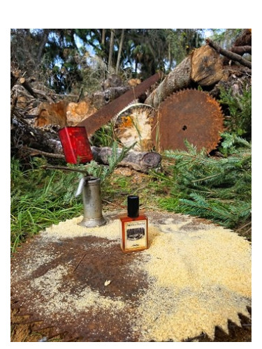 عطر ادکلن سومیل سولستیس سنتس - Sawmill Solstice Scents - بررسی، قیمت و خرید