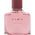 عطر ادکلن اسکارلت پیونی زارا - Scarlet Peony Zara - بررسی، قیمت و خرید