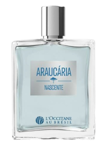 عطر ادکلن آراکاریانا سنتی لوکسیتان او برزیل - Araucária Nascente L’Occitane Au Brésil - بررسی، قیمت و خرید