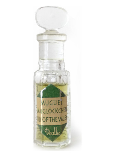 عطر ادکلن مای‌گلکشن دراله - Maiglöckchen Dralle - بررسی، قیمت و خرید