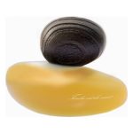 عطر ادکلن تندر است لا نویت کلغ ماجدا بککالی - Tendre Est La Nuit Clair Majda Bekkali - بررسی، قیمت و خرید