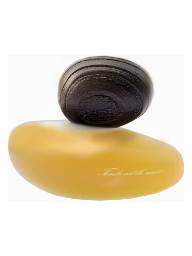 عطر ادکلن تندر است لا نویت کلغ ماجدا بککالی - Tendre Est La Nuit Clair Majda Bekkali - بررسی، قیمت و خرید
