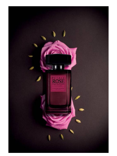 عطر ادکلن رز کاردموم لاکوزری د پرفیوم - Rose Cardamome La Closerie des Parfums - بررسی، قیمت و خرید