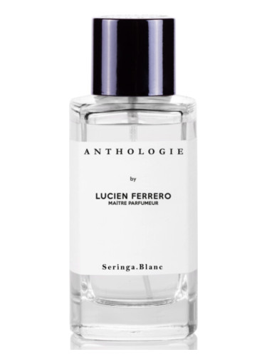 عطر ادکلن سِرینگا بلانک آنتولوژی - Seringa Blanc Anthologie - بررسی، قیمت و خرید