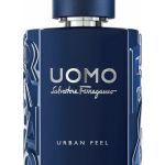 عطر ادکلن اُمو سالواتوره فراگامو اوربان فیل سالواتوره فراگامو - Uomo Salvatore Ferragamo Urban Feel Salvatore Ferragamo - بررسی، قیمت و خرید