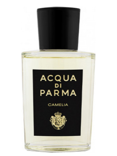 عطر ادکلن کملیا او دو پارفوم آکوا دی پارما - Camelia Eau de Parfum Acqua di Parma - بررسی، قیمت و خرید