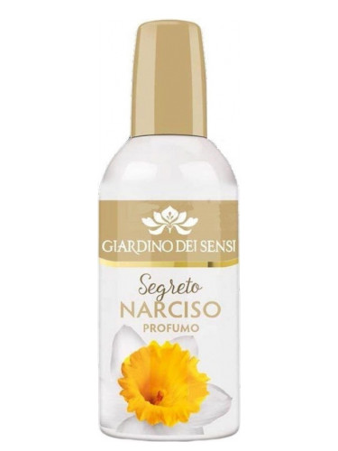 عطر ادکلن سِگرِتو نارسیسو جاردینو دی سنسی - Segreto Narciso Giardino Dei Sensi - بررسی، قیمت و خرید