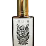 عطر ادکلن ایکاروس ساپینتیه نیچه - Ícarus Sapientiae Niche - بررسی، قیمت و خرید