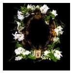 عطر ادکلن فلاورز نکتورنال سولستیس سنتس - Flowers Nocturnal Solstice Scents - بررسی، قیمت و خرید