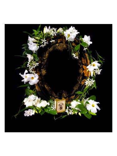 عطر ادکلن فلاورز نکتورنال سولستیس سنتس - Flowers Nocturnal Solstice Scents - بررسی، قیمت و خرید