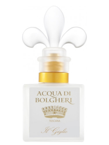 عطر ادکلن ایل جیلیو دکتر تافی - Il Giglio Dr. Taffi - بررسی، قیمت و خرید