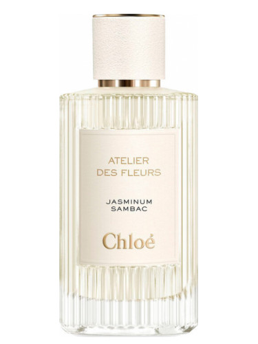 عطر ادکلن یاسمین کلویی - Jasminum Sambac Chloé - بررسی، قیمت و خرید